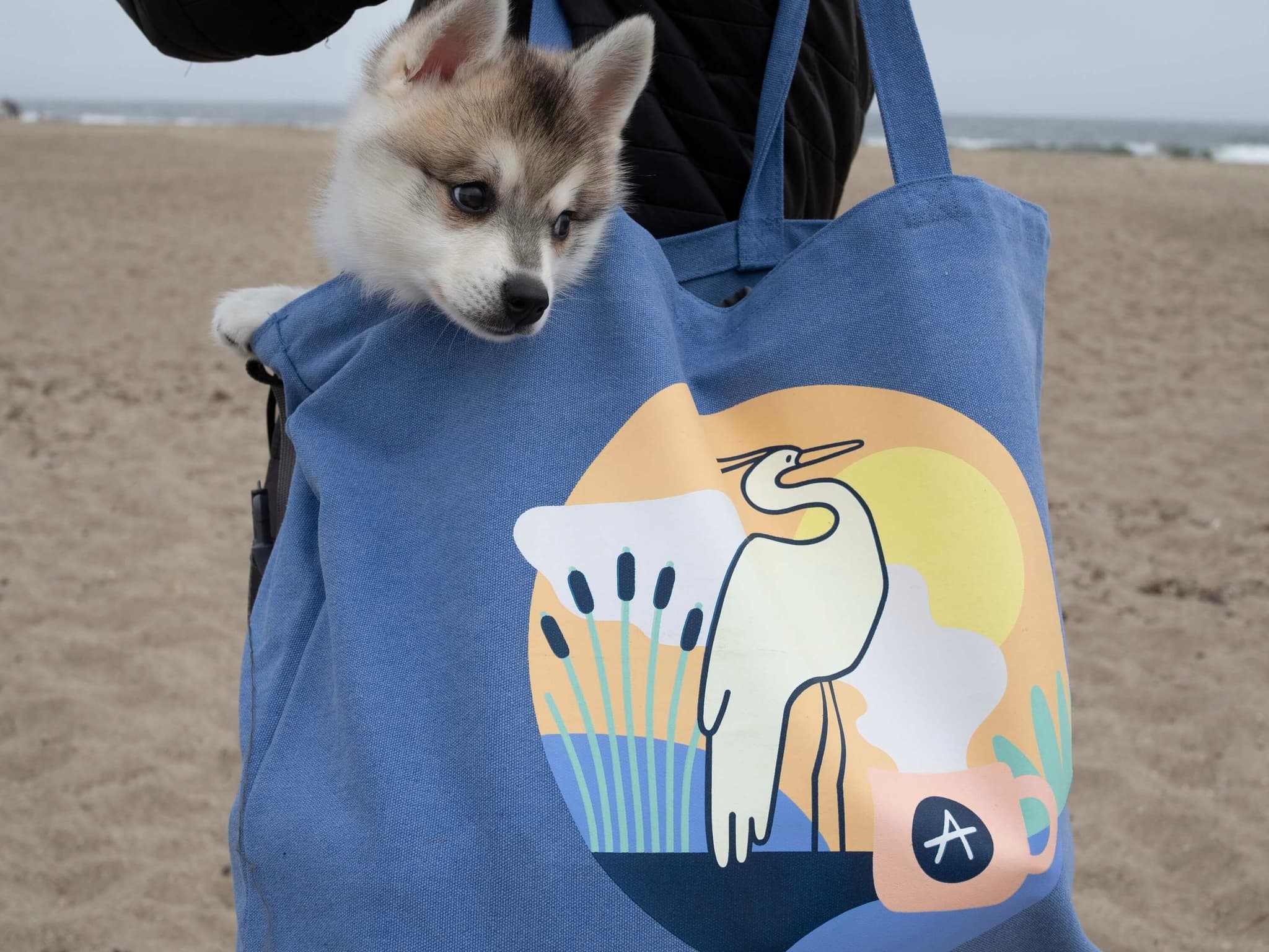 Andytown x Orlie Kapitulnik Tote Bag Merch