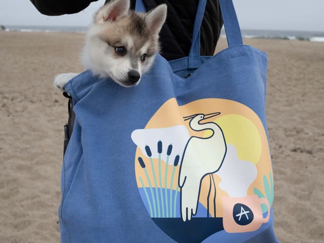 Andytown x Orlie Kapitulnik Tote Bag Merch