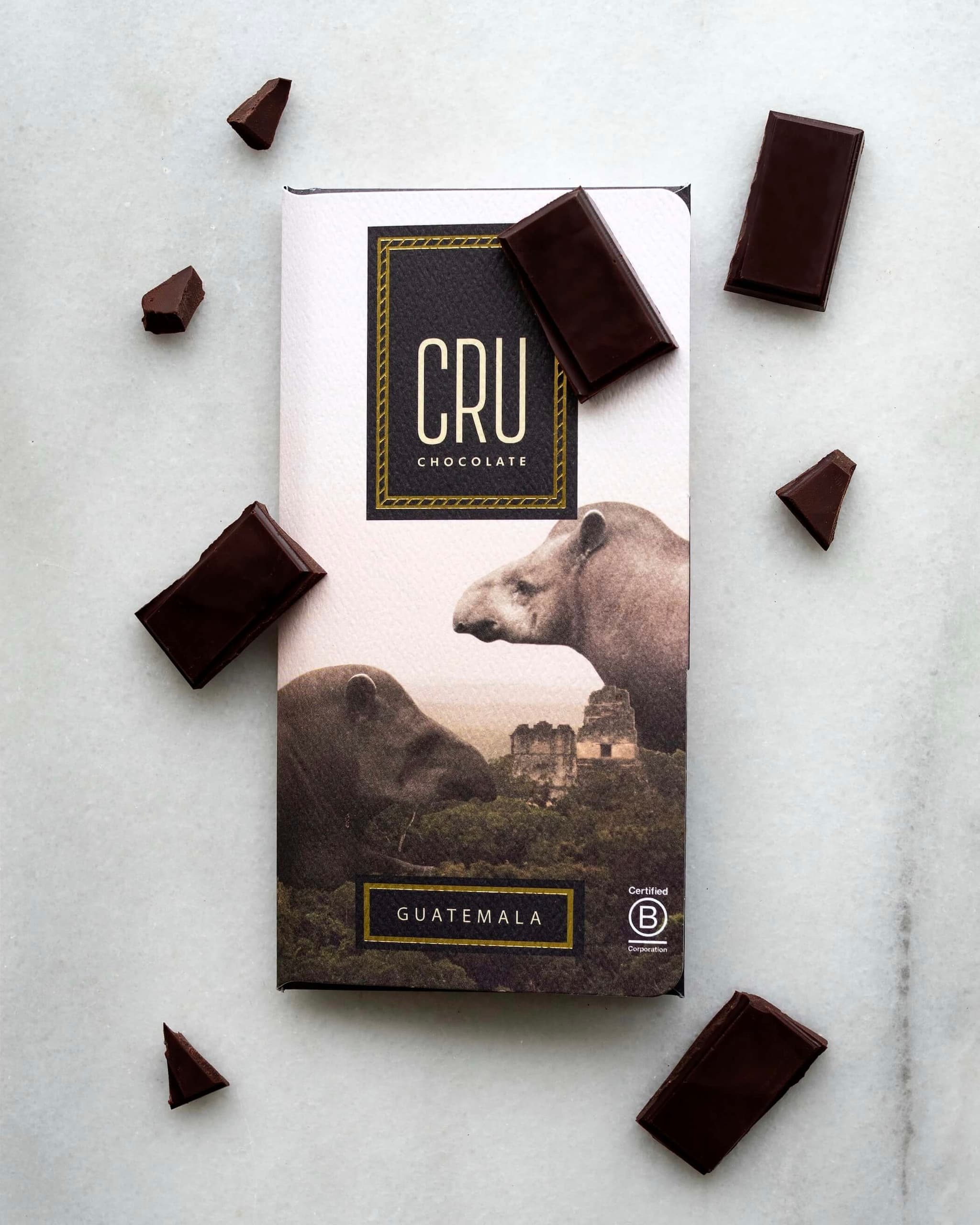 Andytown Cru Guatemala Chocolate Merch
